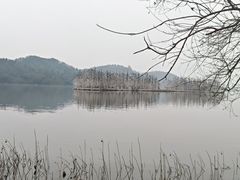 -东湖落雁景区