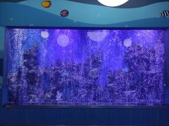-石家庄海洋公园