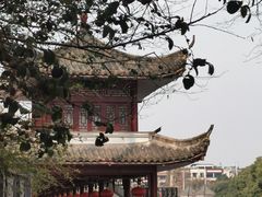 -温江公园