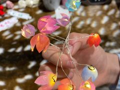 -狮虎桥路