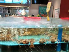 -阿伟海鲜楼·福建菜(延寿店)