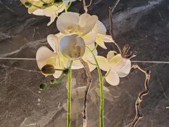 -华夏良子·足道SPA艾灸(金皇大厦店)