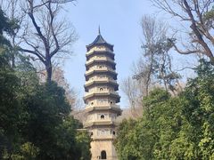 -灵谷景区
