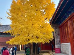 -承恩寺