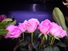 -Olé精品超市(北京合生汇店)