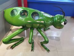 -上海昆虫博物馆