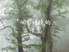 -莫干山风景区