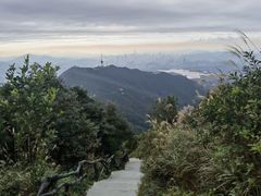 -梧桐山风景名胜区