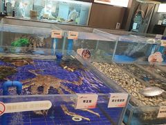 -船歌·鱼水饺青岛菜(闽江二路店)