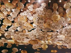 -大理实力希尔顿酒店•御玺中餐厅