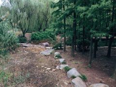 -宝界山林公园