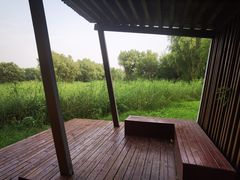 -东郊湿地公园