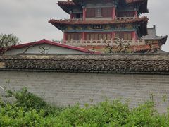 -曹州牡丹园