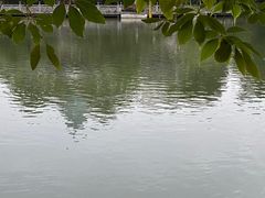 -柳侯公园