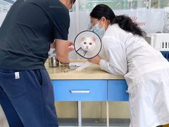 -乖乖乐动物医院(小汤山分院)