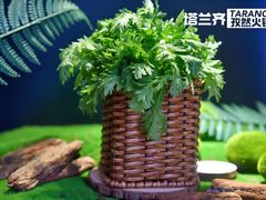 -塔兰齐新疆孜然火锅(鲤鱼山路店)