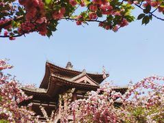 -西安青龙寺遗址景区