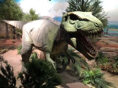 -国家自然博物馆