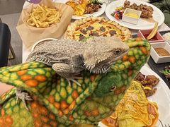 -FAIRYLAND龙族星球主题餐厅(凯丹广场店)