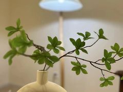 -壹点灵·心理咨询中心(中山公园店)