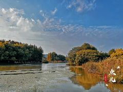 -长广溪湿地公园