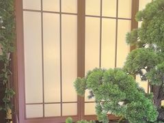 -桃夭日式料理(国信店)