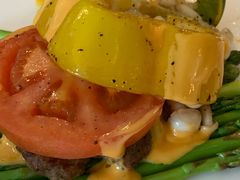 -百好乐宠物友好餐厅(朝外大街店)