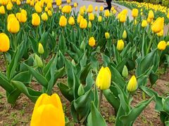 -长春公园(普阳街道)