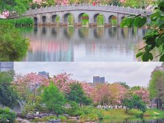-四海公园(南山区)
