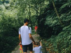 -西岭雪山大飞水景区