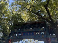 -北京国子监胡同