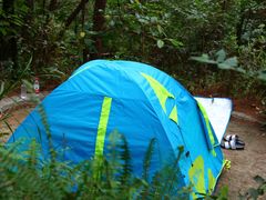 -铁山坪森林公园