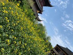 -重元寺香积厨素斋馆