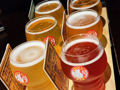 -Boxing Cat Brewery拳击猫精酿啤酒馆(思南公馆店)