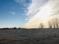 -东郊湿地公园