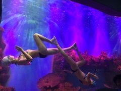 -瑞德姆美人鱼海底演艺主题餐厅(亚龙湾店)