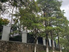 -东莞植物园