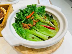 白灼生菜-蔡澜点心·粤菜(月星环球港店)