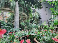 -正佳雨林生态植物园