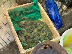 -鸿顺老铁锅美蛙鱼府(解放碑店)