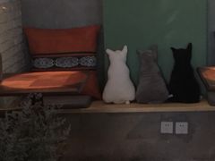 -ZooYoo佐佑咖啡(鼓楼店)
