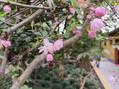 -龙华寺