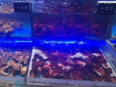 -SEA西雅图海鲜自助餐厅(海乐世界店)