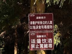 -重庆睡佛山森林公园