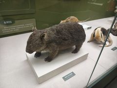 -国家自然博物馆