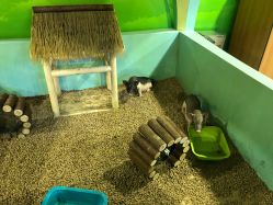 -酷嗒动物文化乐园(cutezoo西溪乐天城店)