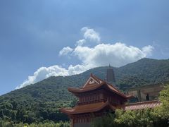 -深圳仙湖植物园