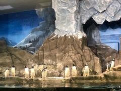 -成都浩海立方海洋公园