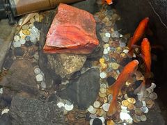 -龙华素斋(龙华路店)