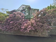 -老客满蛋饼(双塔市集店)